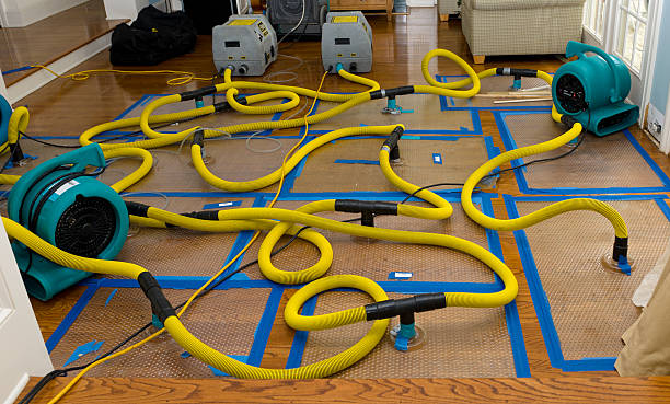 Professional Crawl Space Water Removal technician working in Rockwood, IL